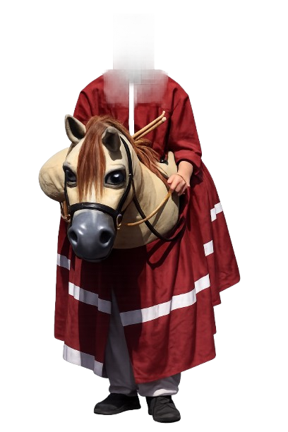 Zaldiko Dixi Barañain