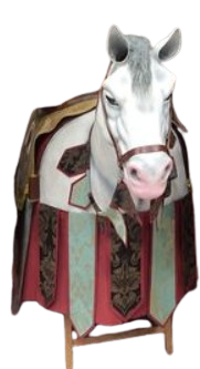 Rómulo Tudela