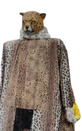 Tigre